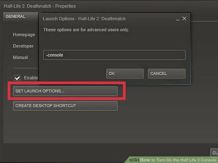 Настройка half life. Консоль в half Life 2. Launch options Steam. Параметры запуска -Console КС 1.6. Set Launch options.