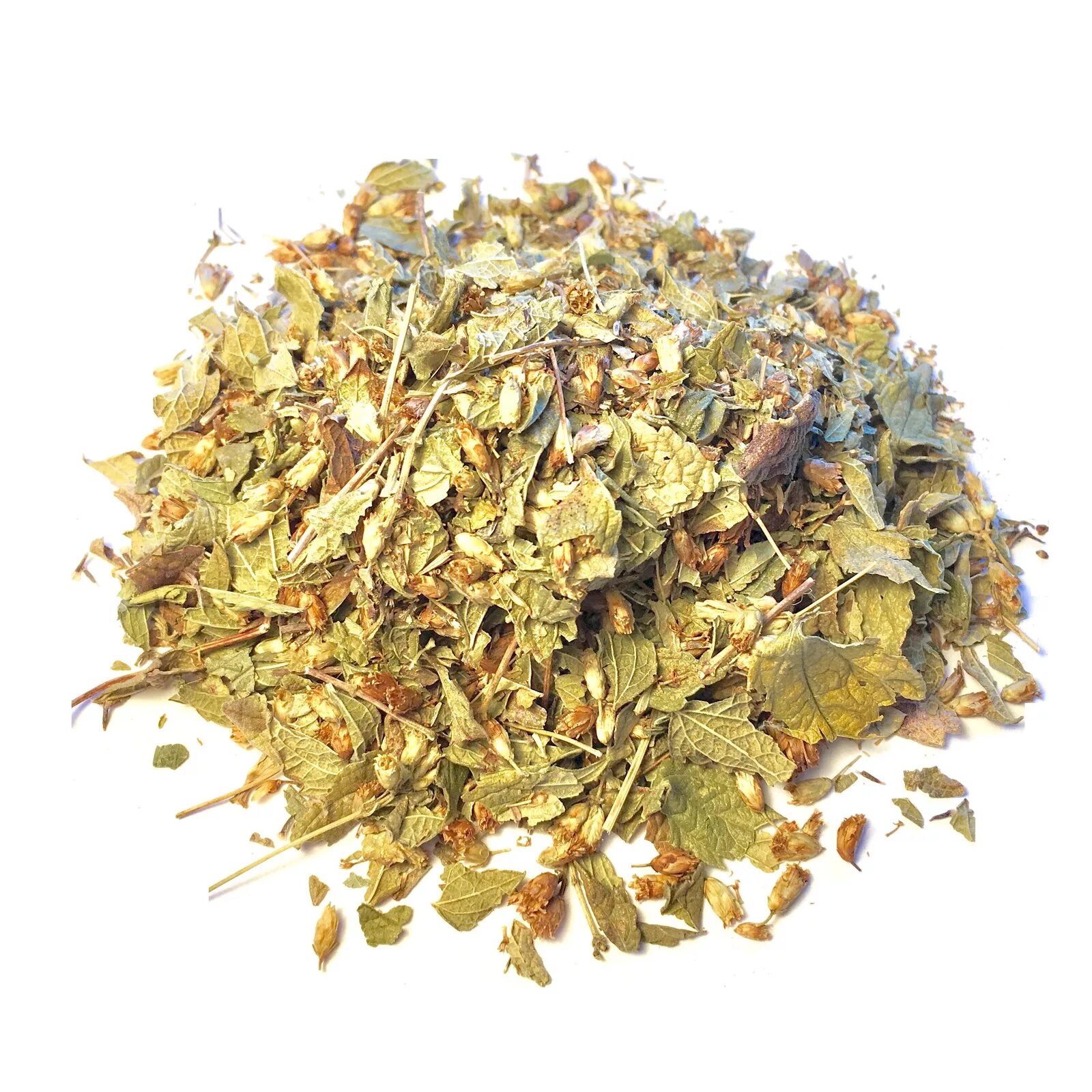 Калея закатечичи закон. Калея закатечичи растение. Калея закатечичи закон. Калея закатечичи. Калея закатечичи семена.