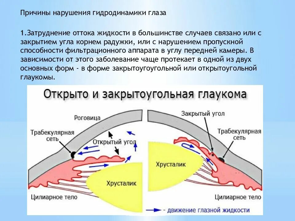 Трабекулярный путь оттока внутриглазной жидкости. Механизм оттока внутриглазной жидкости. Нарушение гидродинамики глаза. Структуры угла передней камеры глаза.