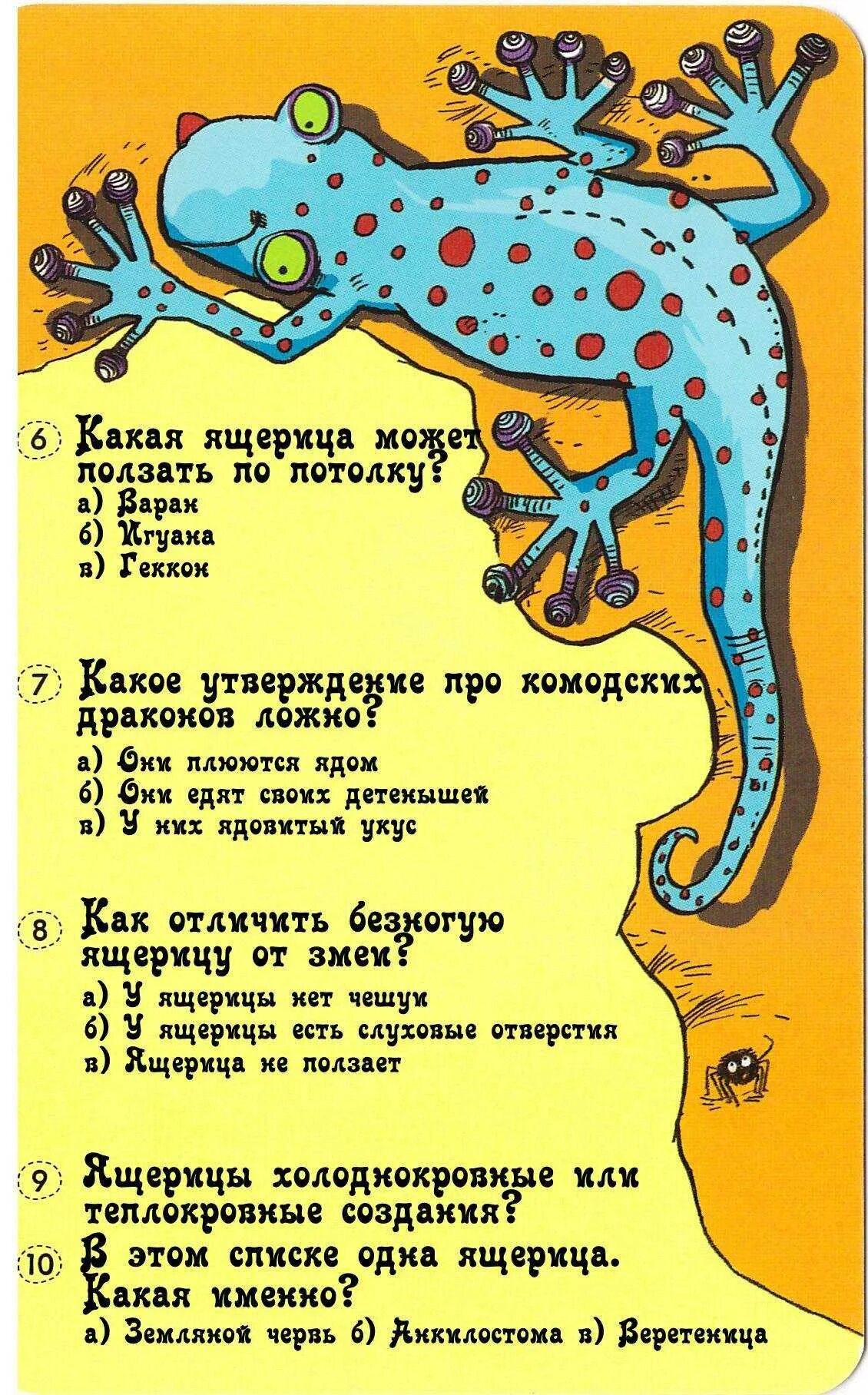 3 вопроса про животных. Викторина о животных. вопросы для викторины про животных. викторина про животных для детей. интересные вопросы про животных.