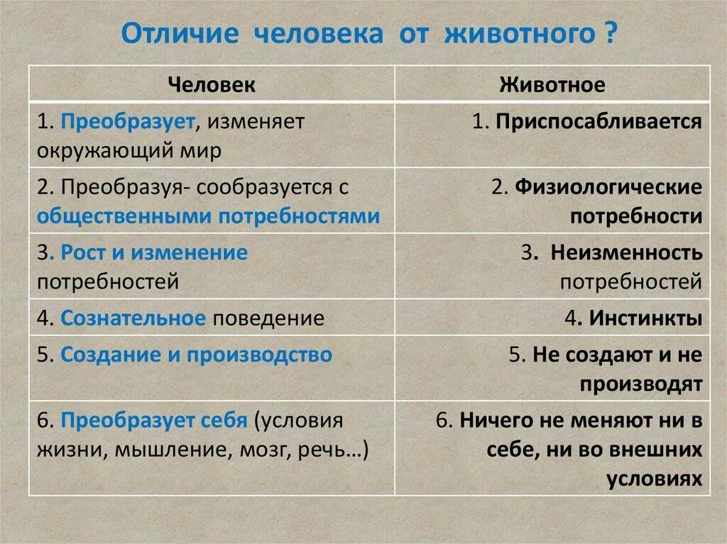 Основные различия между. Отличие человека от живо. Отличие человека и животного. Основные отличия человека от животных. Признаки отличия человека от животного.