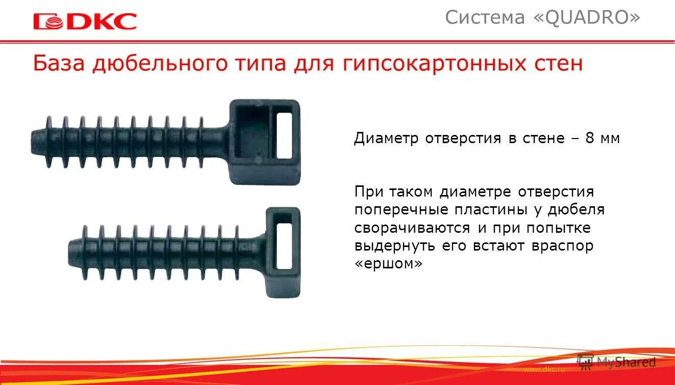 Пластинка поперечный. Пластинка поперечный