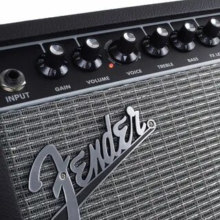 Fender champion