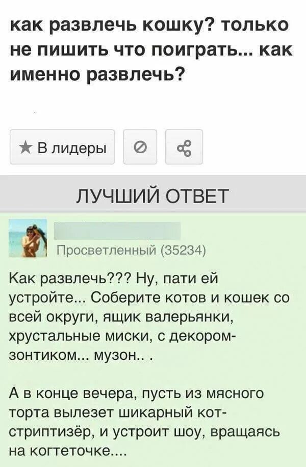 Приличный ответ. Как развлечь кошку. Прикольные ответы на вопросы. Ответ прикол. Юморные ответы на вопросы.