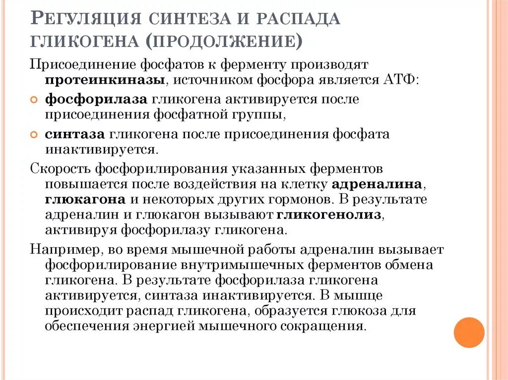 Фермент синтеза гликогена. Регуляторные ферменты синтеза гликогена. Регуляция синтеза и распада гликогена. Реегуляия синтеза и распадагликогена. Ключевой фермент распада гликогена.