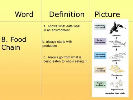 Which words are being defined