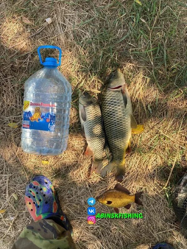 рыбалка абинск крымск. рыбалка абинск крымск. юрий криванков вагай. раскаты платная рыбалка. рыбалка абинск крымск.