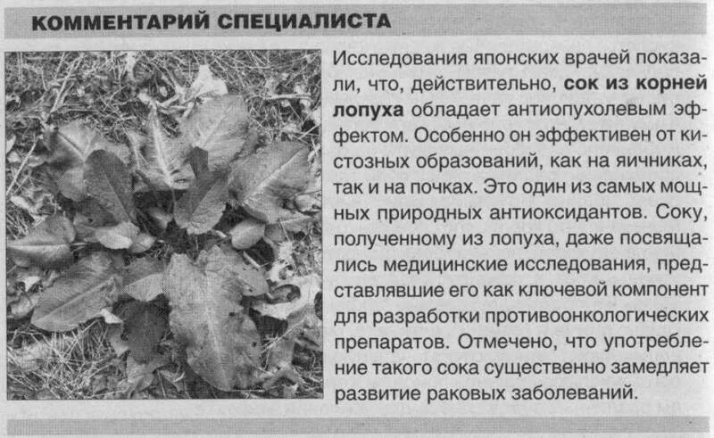 Можно ли сжечь корни