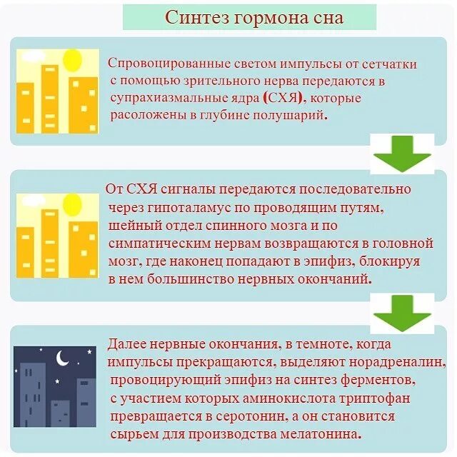 Синтез гормонов сна. Выработка гормонов во время сна. Мелатонин гормон сна выработка. Гормоны вырабатываемые ночью во сне. Мелатонин для чего нужен организму