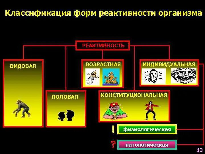 Классификация форм жизни. Классификация видов реактивности. Формы реактивности. Формы патологической реактивности. Формы реактивности организма.