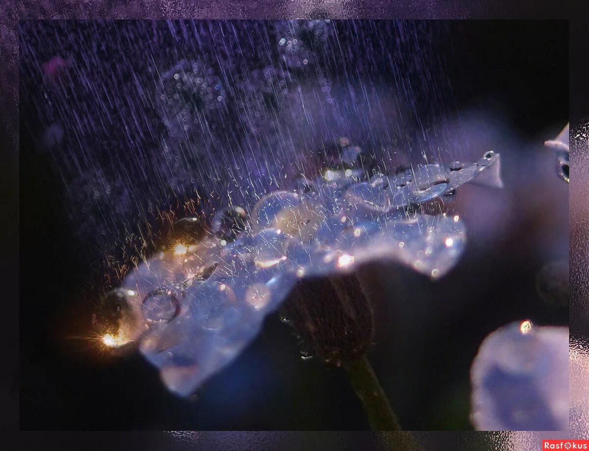 дождь на синем фоне. все сияет после недавнего ливня и голубые. природа после грозы. дождь анимация. потоп в городе.