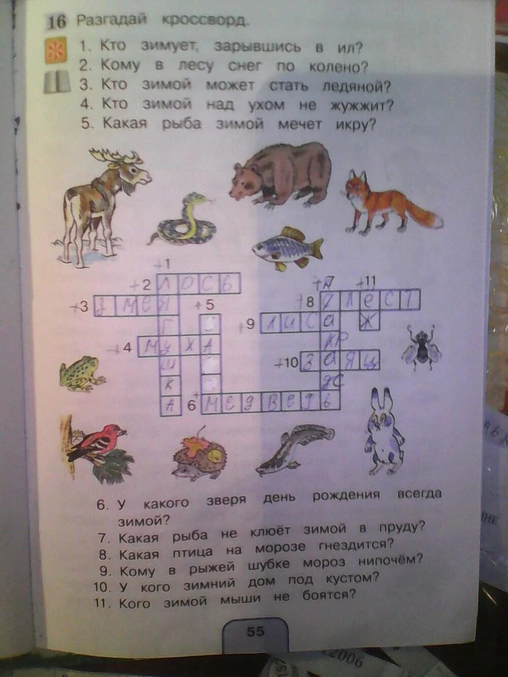 Окружающий мир страница 55 номер. Кроссворд 1 класс окружающий мир. Окружающий мир класс рабочая тетрадь 1 часть стр 55. Кроссворд окружающий мир 2 класс рабочая тетрадь. Кроссворд окружающий мир 3 класс рабочая тетрадь.