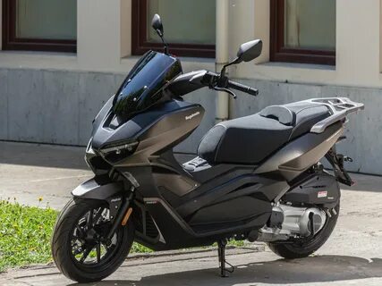 Regulmoto element 300