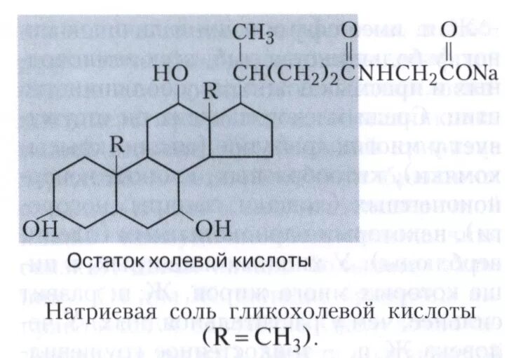 Тиактоцитовая кислота