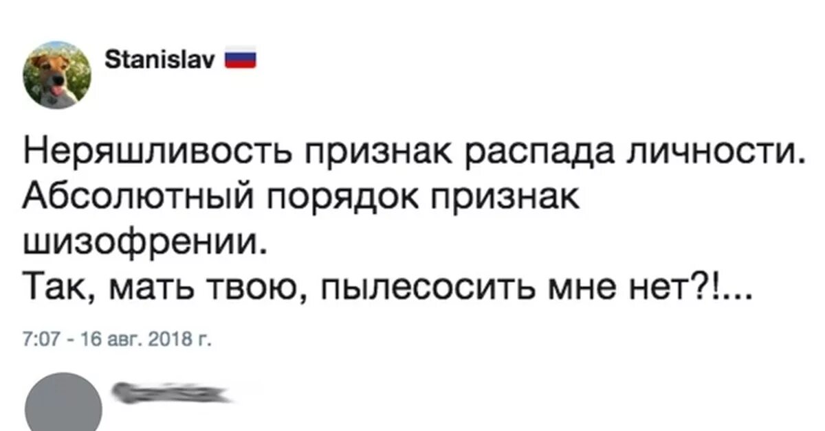 Порядок признак шизофрении прикол. Неряшливость признак распада личности пылесосить или нет. Абсолютная чистота признак шизофрении. Абсолютный порядок признак шизофрении.