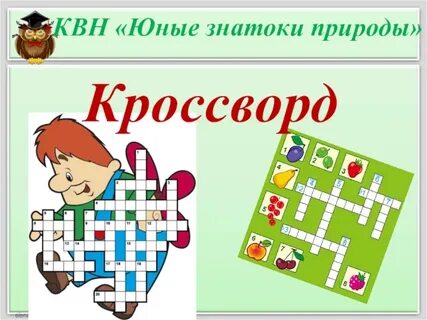 Рекомендация знатока кроссворд