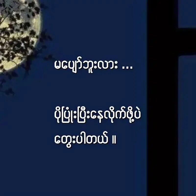Лай число. Лай число