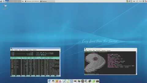 Основы linux