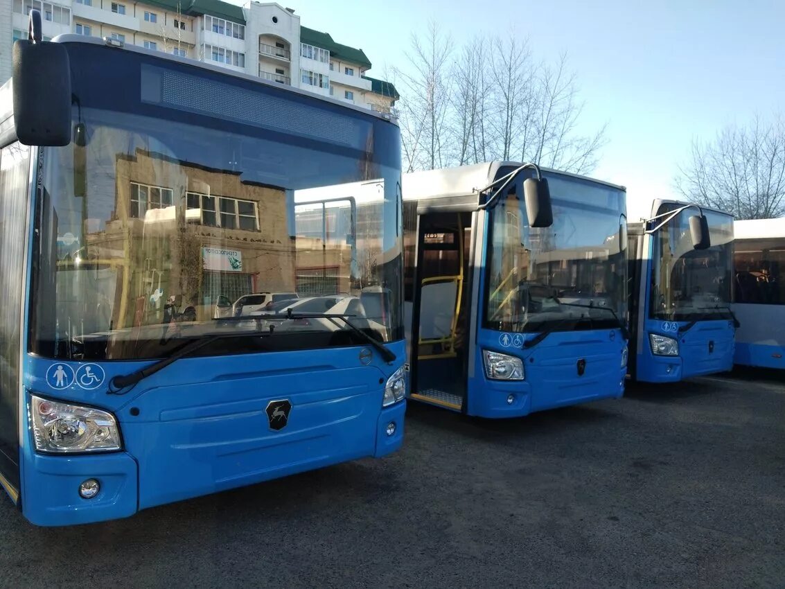 автобусный парк тюмень ооо 700. автобус 30 чита. Bus читы. автобус чита. автобус повышенной вместимости.