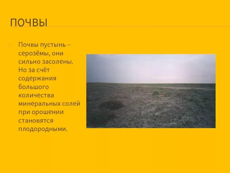 Какая почва в природной зоне пустыни. Евразия пустыни и полупустыни почва. Почвы пустынь и полупустынь в Евразии. Почвы в полупустынях и пустынях Евразии. Почвы полупустынь Евразии.