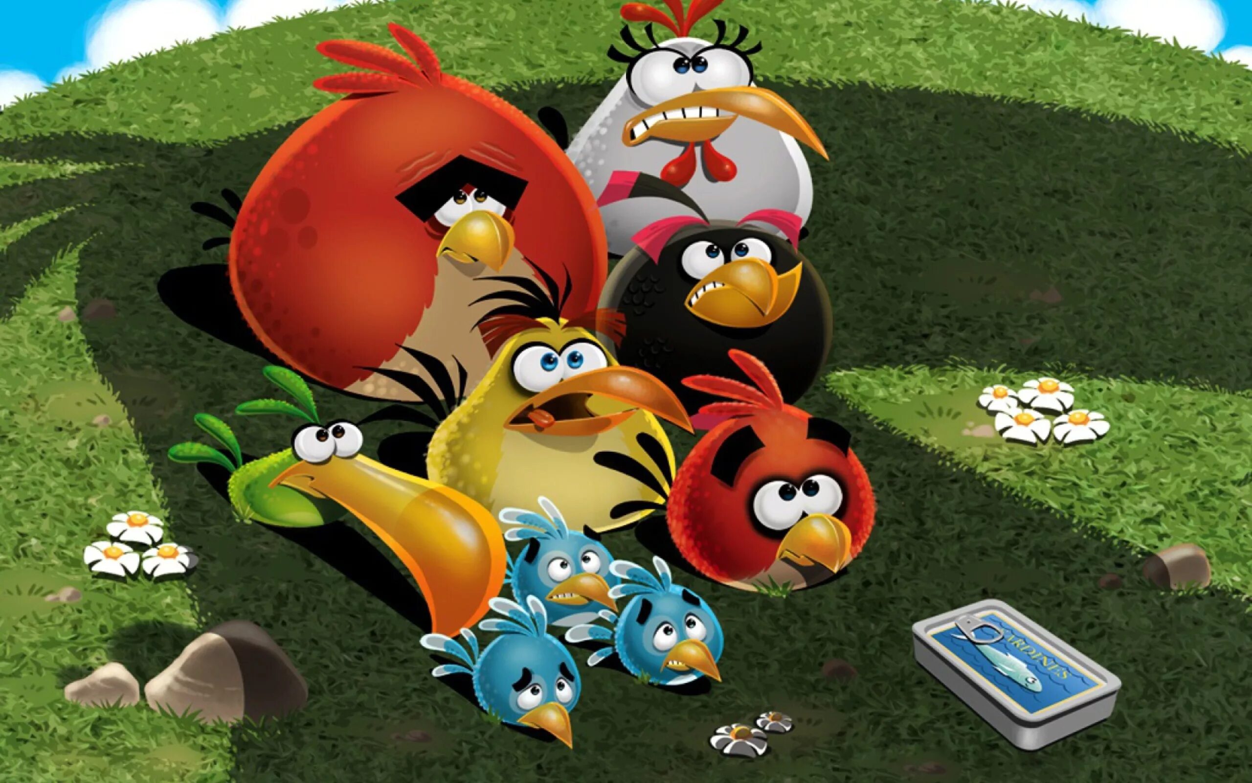 Энгри бердз. Игра angry birds red. Диск angry birds toons. Энгри бердз злые птички. Angry birds saves.
