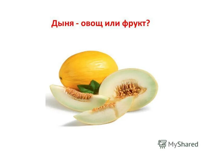 Дыня является. Дыня это ягода или фрукт. дыня это фрукт или овощ. дыня это ягода или овощ. овощи фрукты дыня.