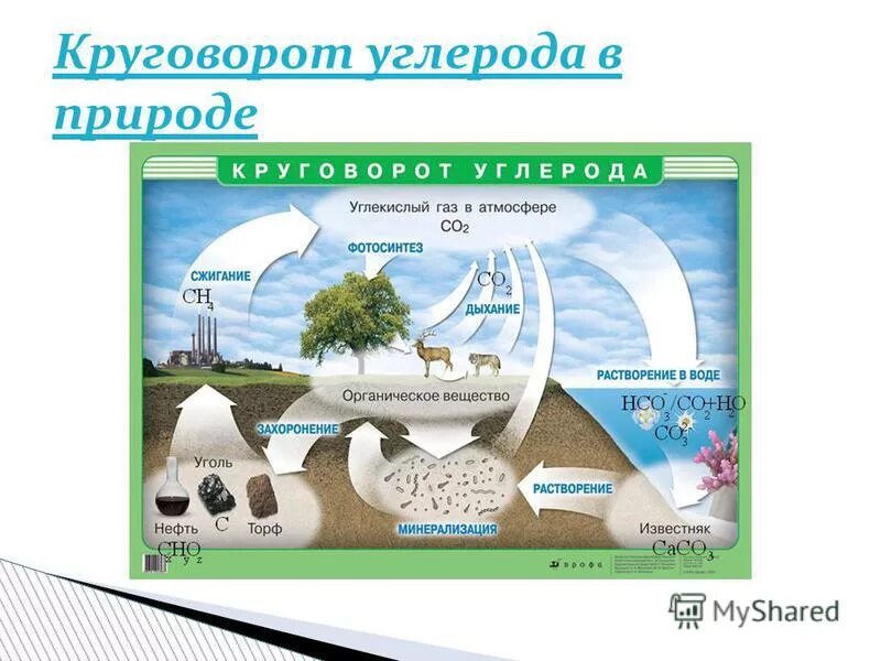 Углекислый газ вода углевод кислород. Круговорот углерода в природе схема с формулами. Круговорот углерода схема с формулами. Круговорот углерода в природе про ГАЗ. Круговорот углерода в природе схема биология.