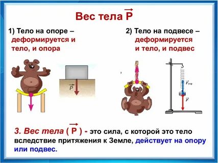 Вес тела 10 найдите