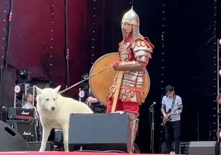 Собака на сцене