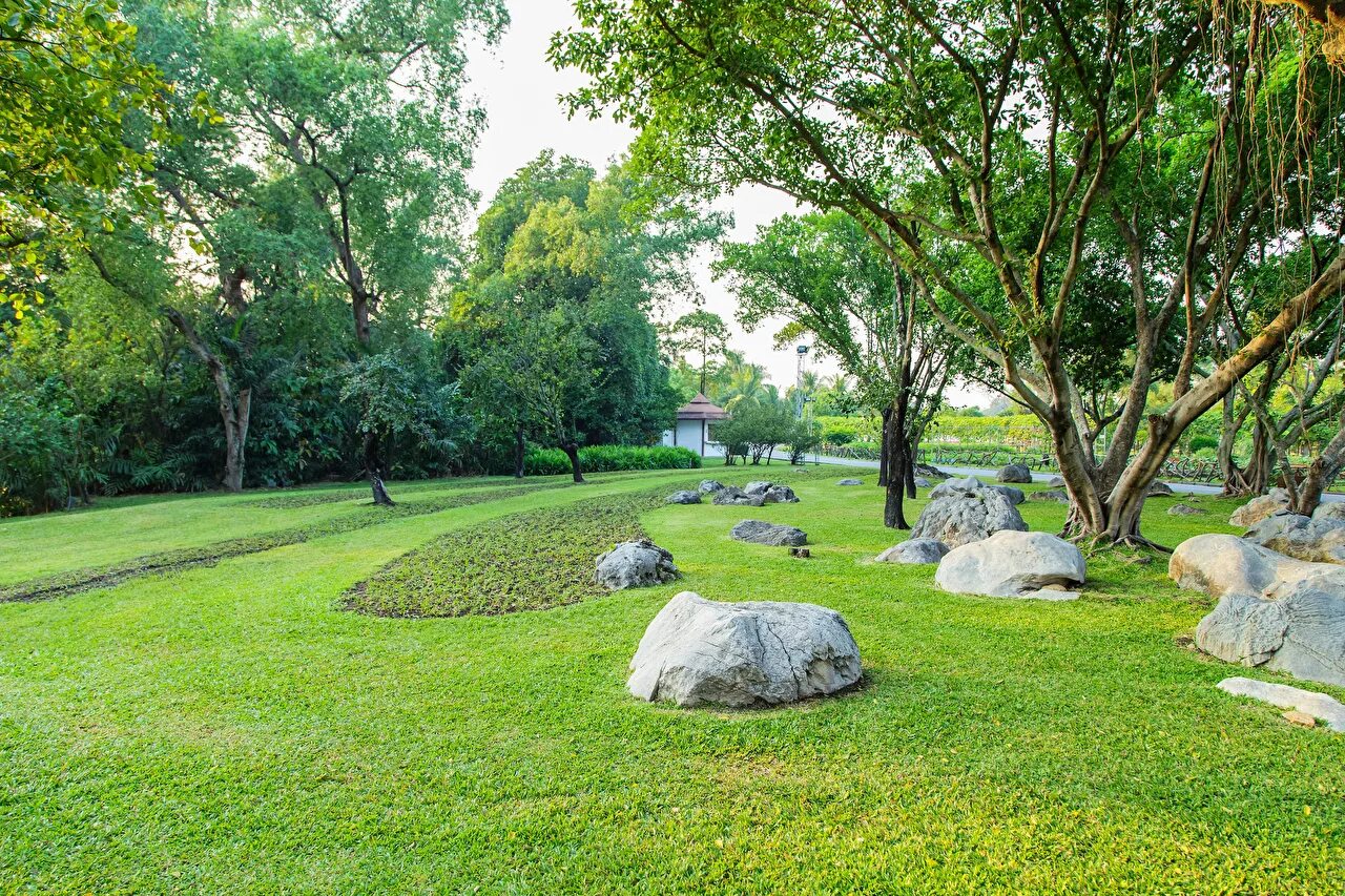 Поляна ботанический сад. Кемеровский ботанический сад. Ботанический сад донецк днр. Ботанический сад в шалготарьяне в г. Изумрудный город ботанический сад.