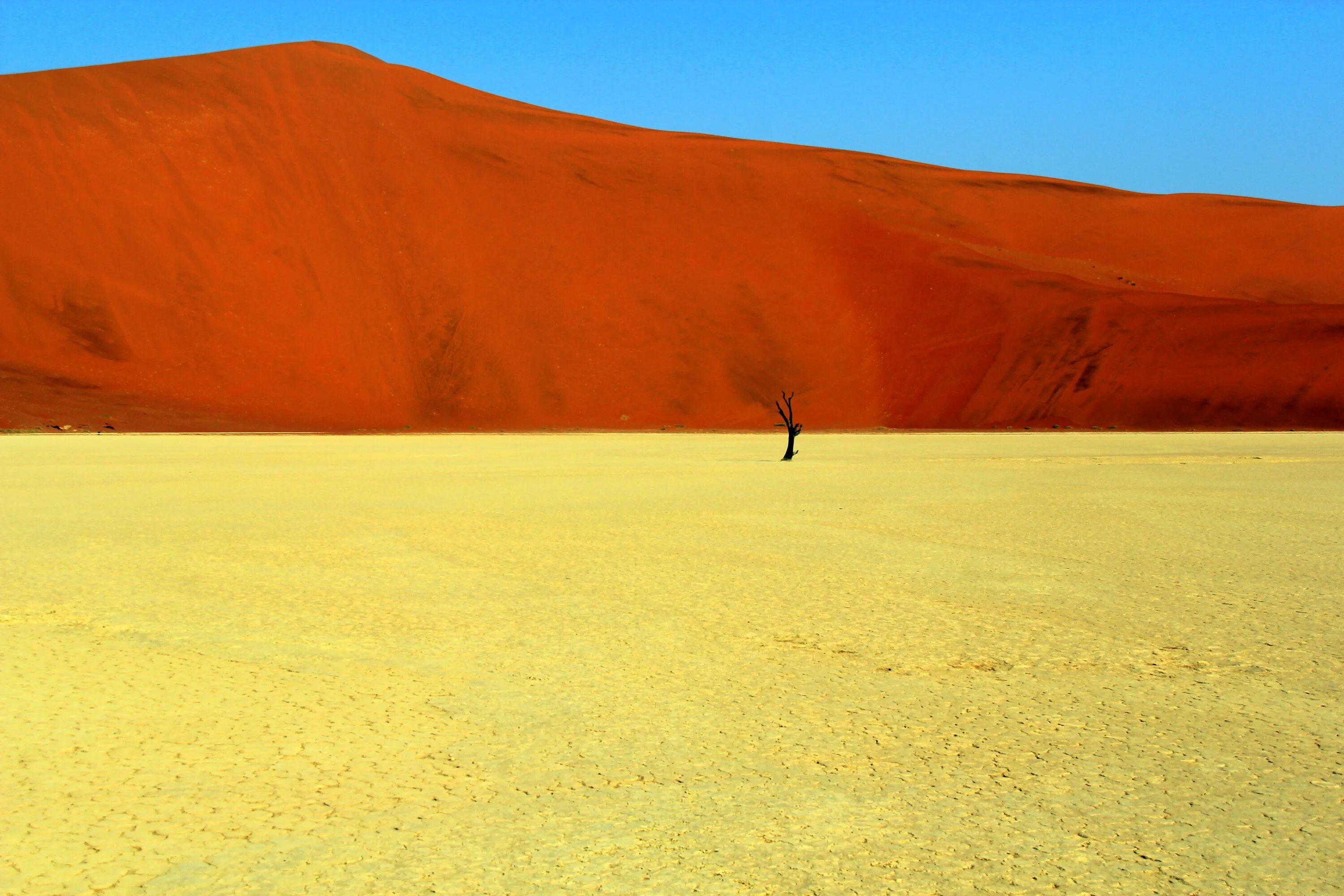 Приокеаническая пустыня. Африка Намиб и сахара. Пустыня Намиб. Плоскогорье пустыня Намиб. Атакама и Намиб.