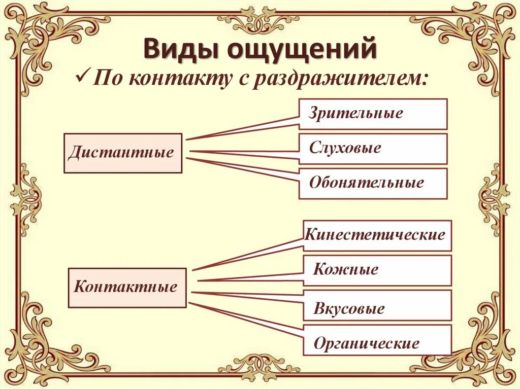 Виды ощущения вопросы. Виды ощущения вопросы