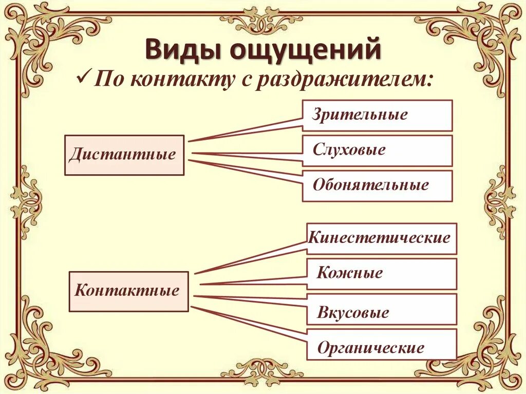 Названия ощущений. Виды ощущений. К контактным видам ощущений относятся. Контактные виды ощущений. К видам ощущений не относятся.