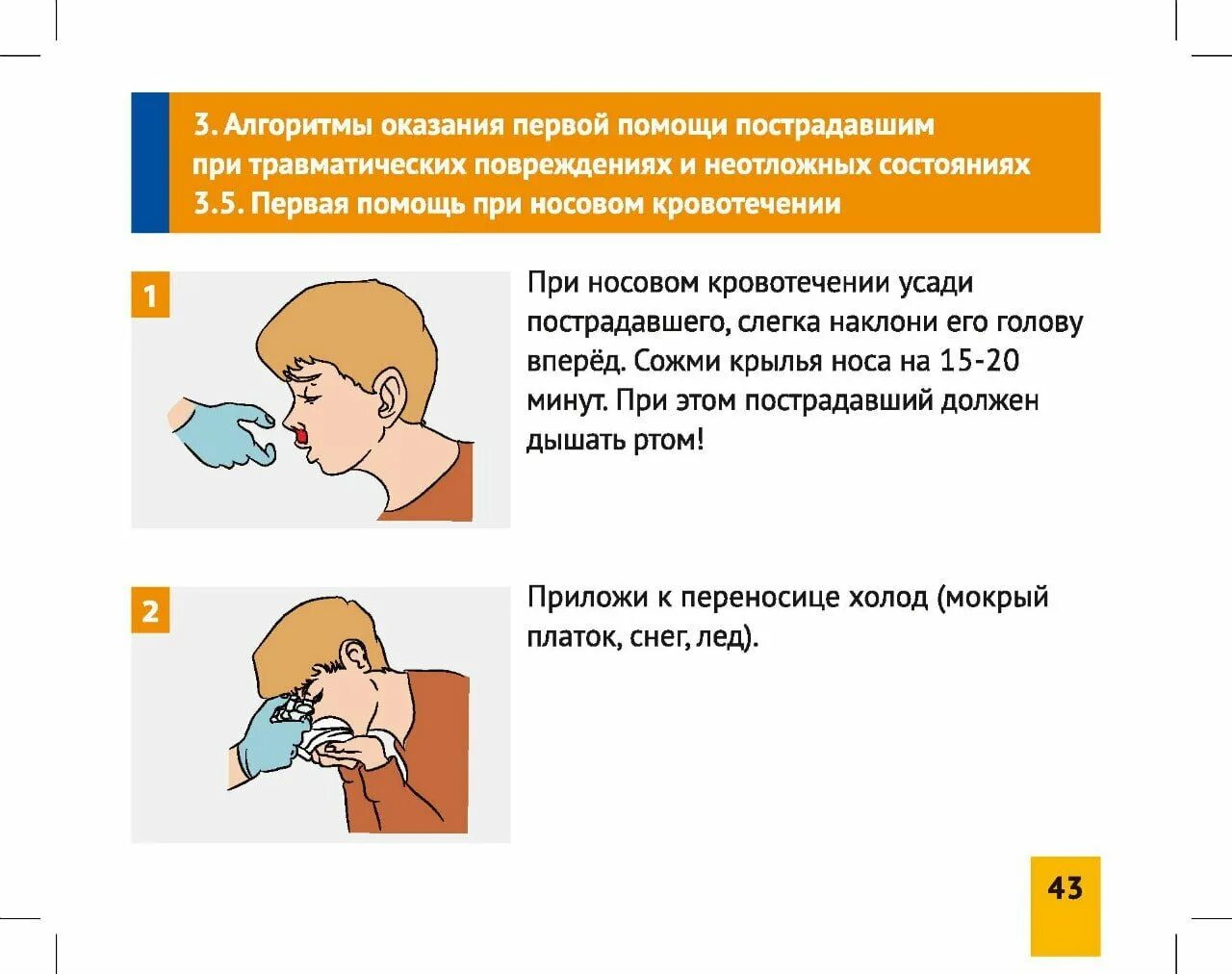 Какую первую помощь должен. Действия по оказанию первой помощи при носовом кровотечении. Алгоритм оказания первой помощи при травматических повреждениях. Первая помощь пострадавшему с носовым кровотечением начинается. Мера оказания ПМП при носовом кровотечение.