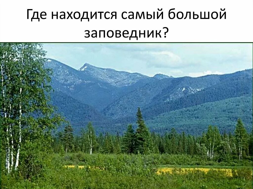 Первый национальный парк на территории россии