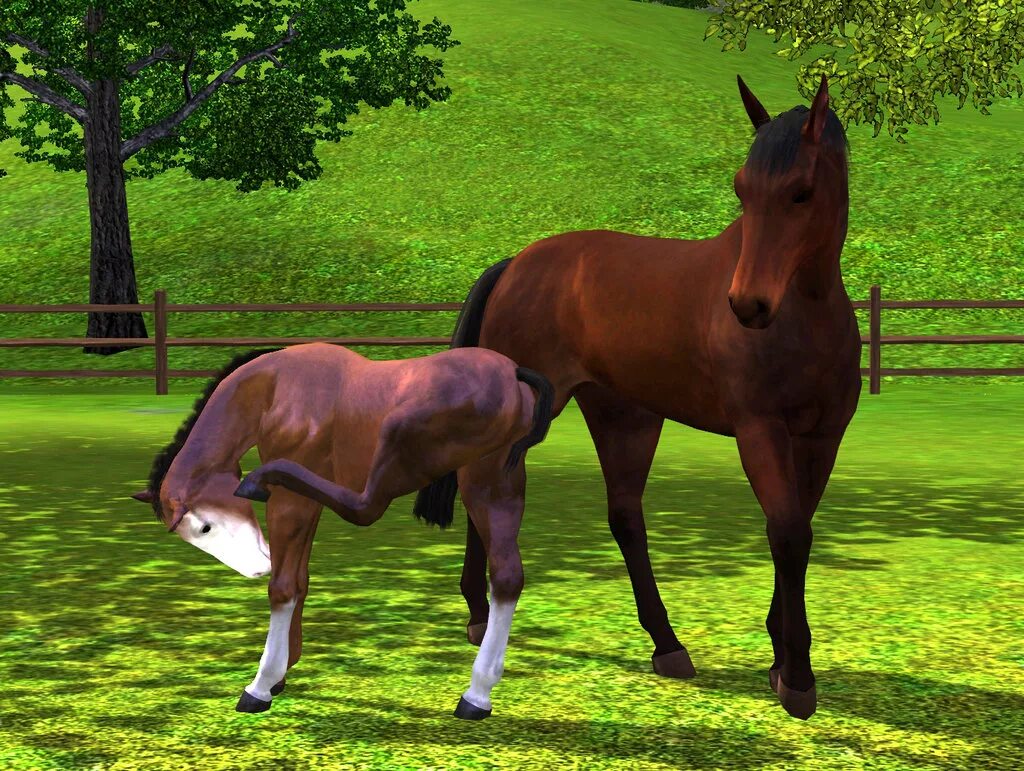 Horse sim. SIMS 3 питомцы конюшня. Симс 3 питомцы лошади. SIMS 3 лошади. Симс 3 Конное ранчо.