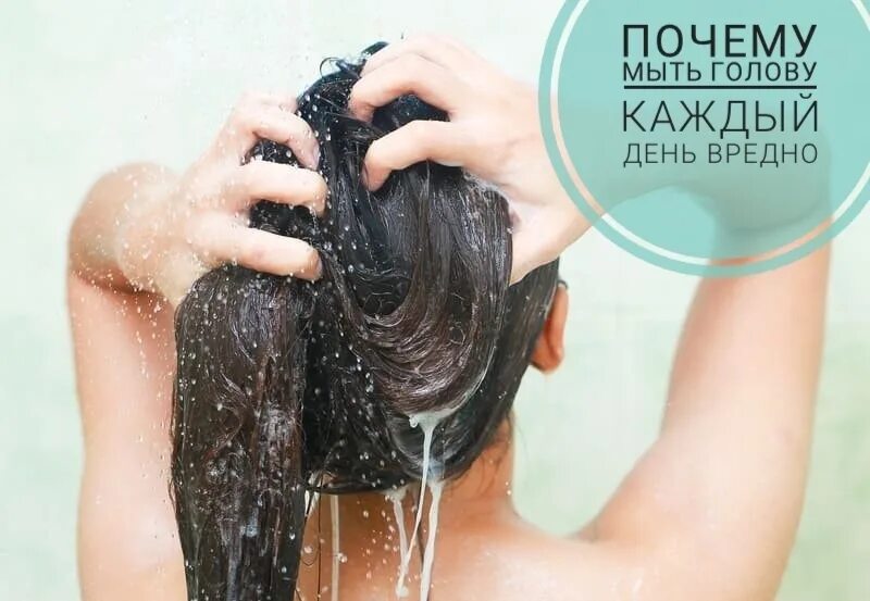 Сколько нельзя мыть голову. Мытье волос. Мыть голову каждый день. Помыть волосы каждый день. С днем помытых волос.
