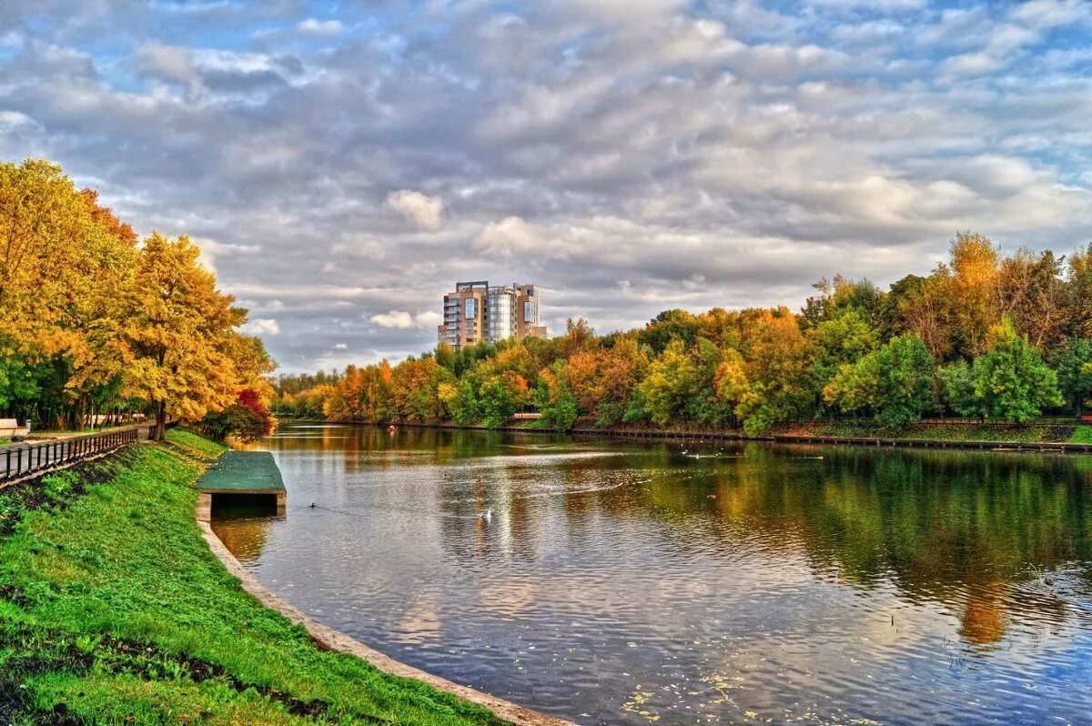 Владимирский пруд перово. Пруд на шоссе энтузиастов. Шоссе энтузиастов парк. Владимирский пруд шоссе энтузиастов. Шоссе энтузиастов парк.
