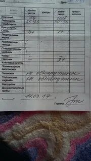 Какие анализы сдавать для матки