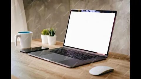 Саратовтағы мысықтарды кастрациялау