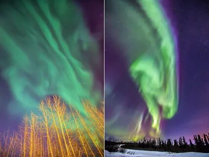 Alaska north to the future 1.49