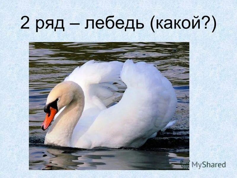Лебединый какое прилагательное. Лебединый какое прилагательное. Лебединый какое прилагательное. Краткая форма прекрасный. Морфологический разбор прилагательного красивый.