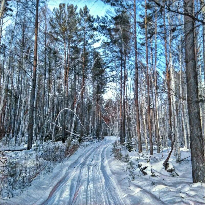 в лесу трещат от холодов деревья
