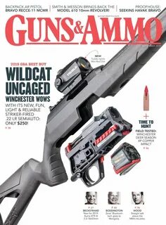 Guns ammo