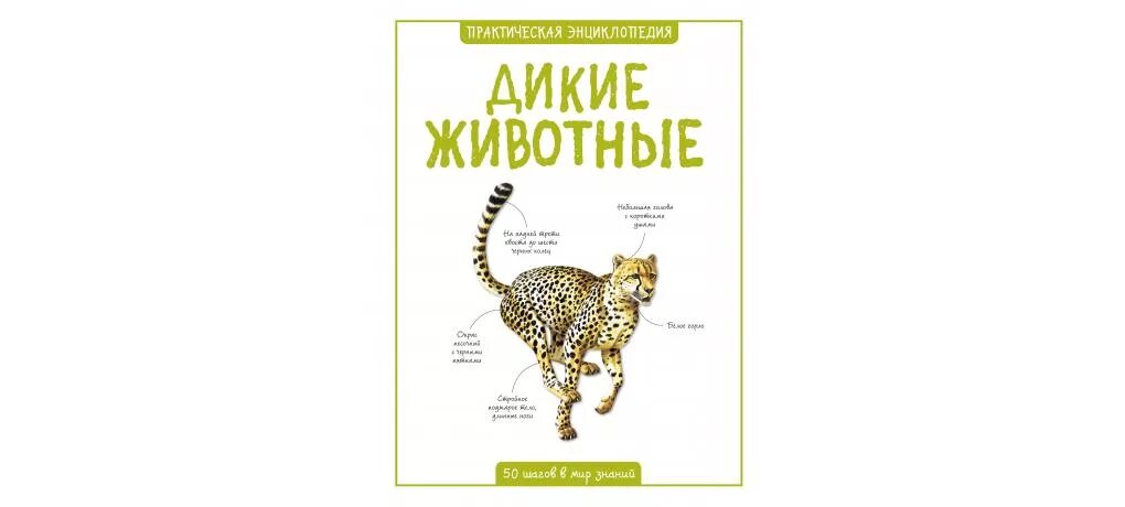 Практическое животное
