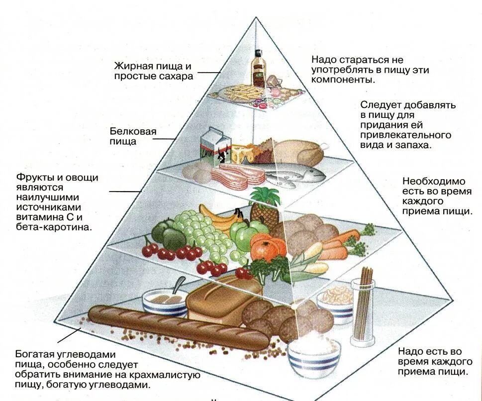 Вода прием еды. Пирамида здорового питания белки жиры углеводы. Схема питания белки жиры углеводы. Пирамида белков жиров и углеводов. Пирамида правильного питания белки жиры и углеводы.
