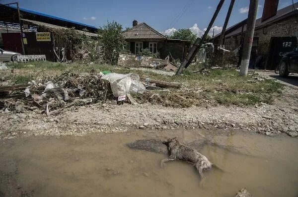 Зона затопления крымск. Когда произошло наводнение в крымске. Когда произошло наводнение в крымске. Крымск краснодарский край наводнение 2012. Крымск, 2012 год.
