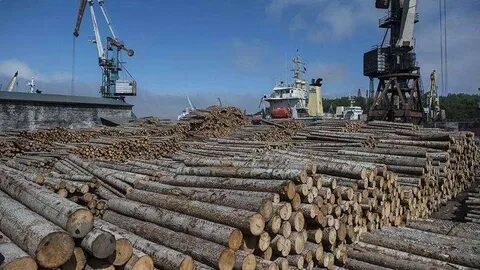 Крупнейший порт по экспорту древесины