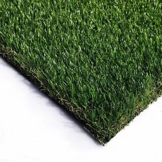 Grass 10