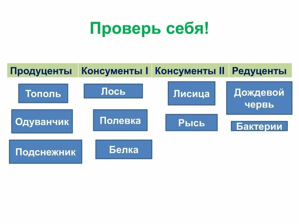 Продуценты и редуценты примеры. Бактерии продуценты примеры. Проценты консументы редуценты. Продуценты и редуценты примеры. Продуценты консументы и редуценты это кратко.